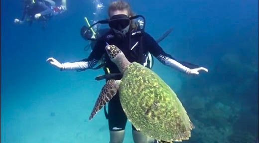 PADI Deep Diver Specialty Course diver with turtle