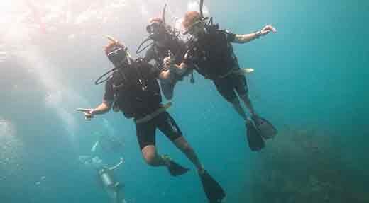 PADI Discover Scuba Diving descend