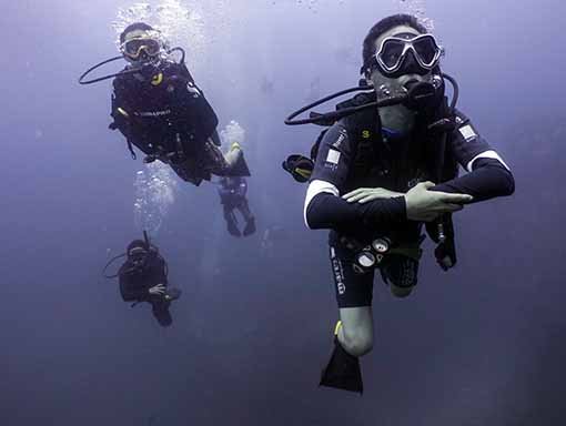 PADI Underwater Videographer course divers underwater