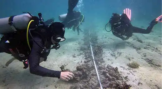 Marine Conservation Dives reef check divers underwater following line layed down