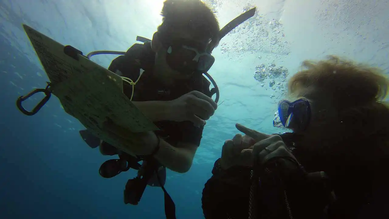 Marine Conservation diver being trained in performing reef check around waters of Koh Tao Thailand