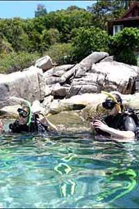 crystaldive.com-home-page-menu-discover-scuba-diving-course