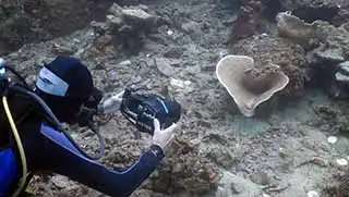 Diver taking video during underwater videographer course on Koh Tao