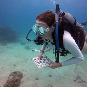 The Coral Tribe Citizen Science Overview