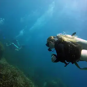 Diver looking at the coral underwater on Koh Tao