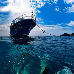 A view of Crystal Dive boat from the ocean surface
