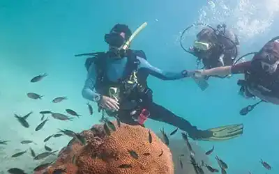 Crystal Dive Basic Divers seeing fish underwater on Koh Tao