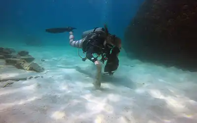 Plastic Pollution