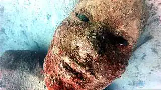 Mazu face artificial reef structure at Junkyard Reef Koh Tao