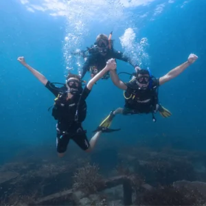 Basic Diver Experience