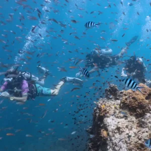 Divemaster Trainee taking divers on an underwater tour