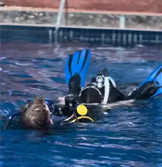 Divemaster Trainee doing water fitness test in the pool
