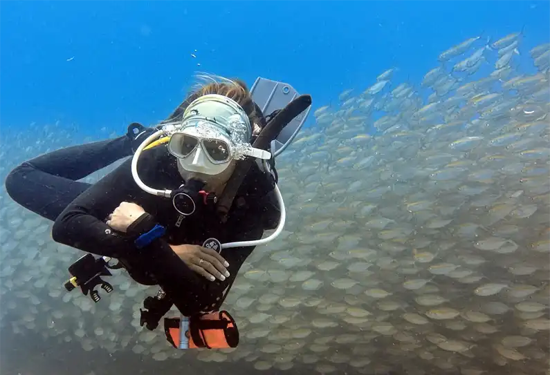 Advanced Open Water Course Instructor in front of Fusilier School of fish