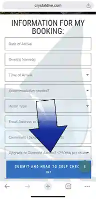 ssi-diamond-access-upgrade-crystaldive.com SSI Diamond Access upgrade