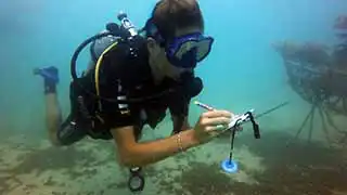 thecoraltribe.com-adopt-a-coral-diver-data The Coral Tribe collecting data from transplanted coral at Junkyard Reef dive site on Koh Tao