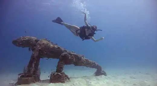 Peak Performance Buoyancy Specialty happy diver underwater