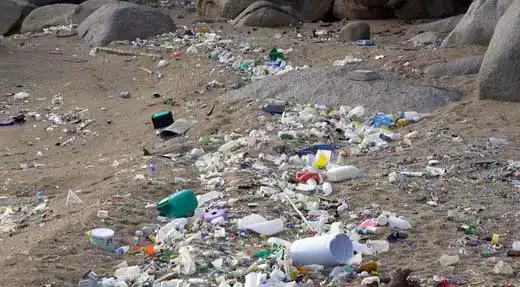 Trash on the beach