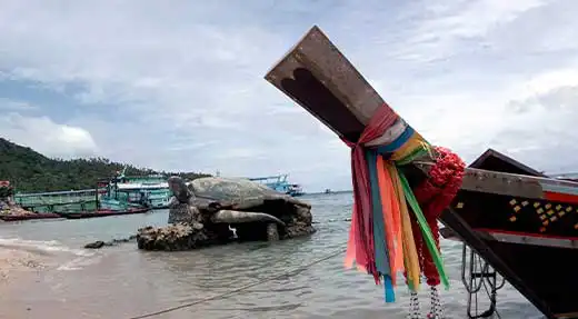 Rescue Diver