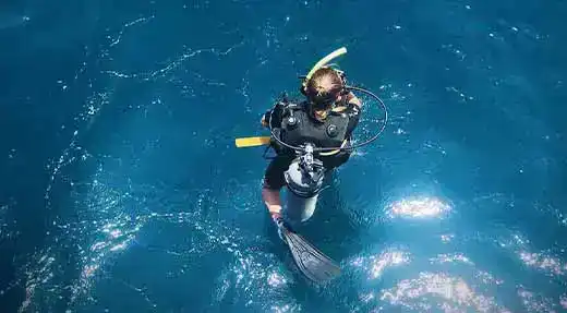 Night Diver Specialty Course sunset