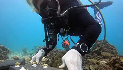 Marine conservation diver monitoring coral restoration project on Koh Tao