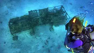 The Coral Tribe diver underwater near Koh Tao Thailand