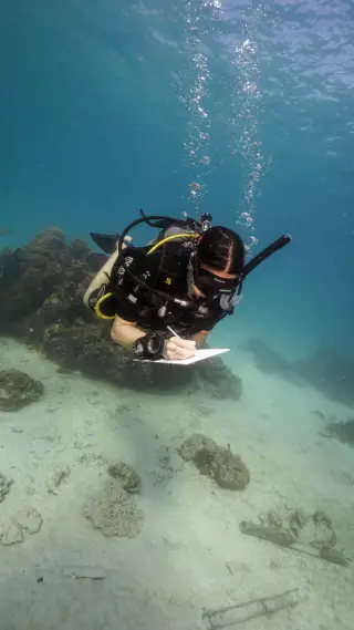 Specialty Course Diver Writing On Slate Koh Tao Thailand