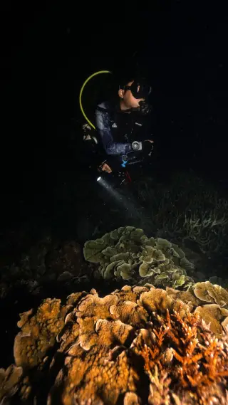 SSI Night & Limited Visibility Specialty Koh Tao Thailand