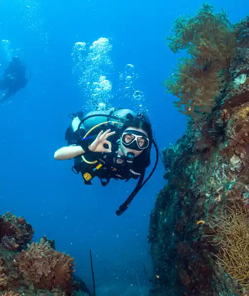 SCUBA diver course student in open water exploring the coral reef