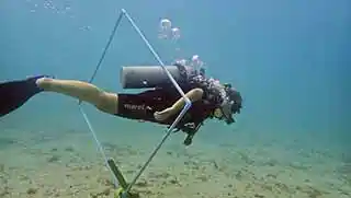 SCUBA specialty courses Perfect Buoyancy diver swimming through hoop underwater