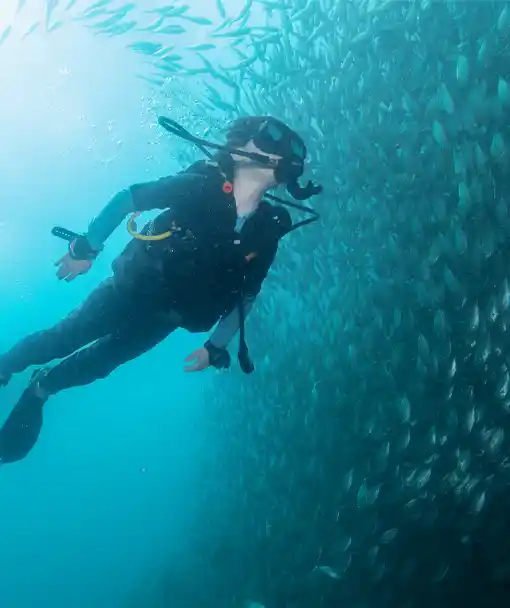 deep diving specialty course diver surrounded by fish school at Crystal Dive