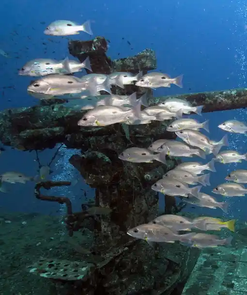 Wreck dive is part of the intermediate dive training Thailand