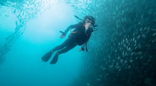 Junior Open Water diver in big school of fish on Koh Tao