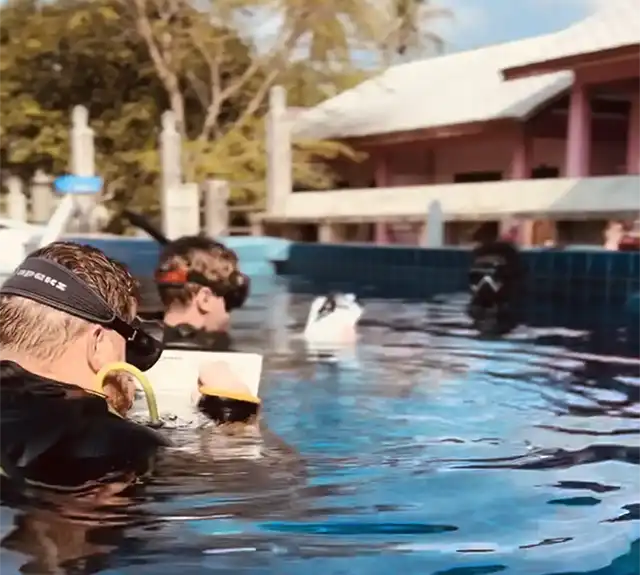 Professional Diver Courses