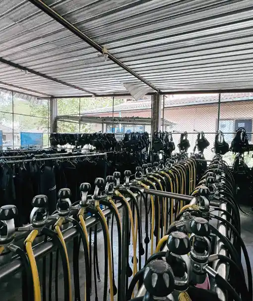 science of diving course thailand understanding dive equipment functionality