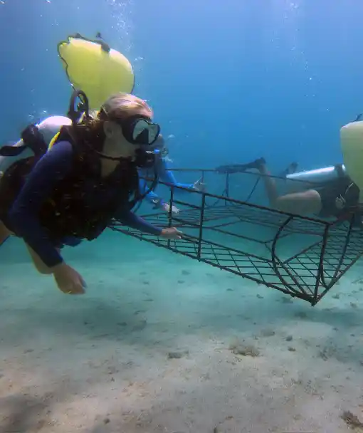 Divers recovering object in our search and recovery specialty course thailand