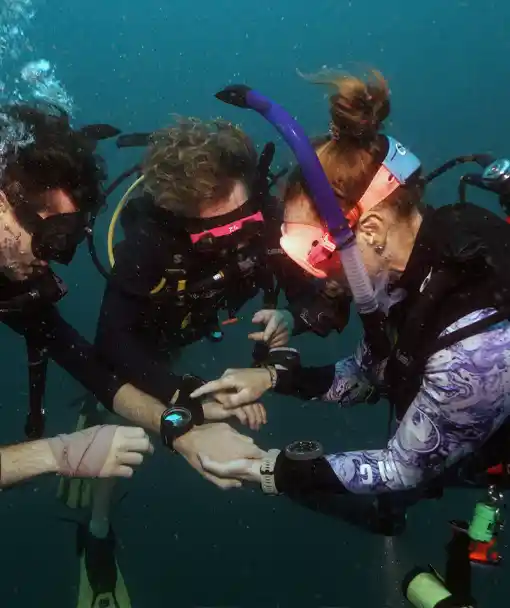 Comparing depth readings on the deep dive from our SSI Advanced Adventurer course Koh Tao