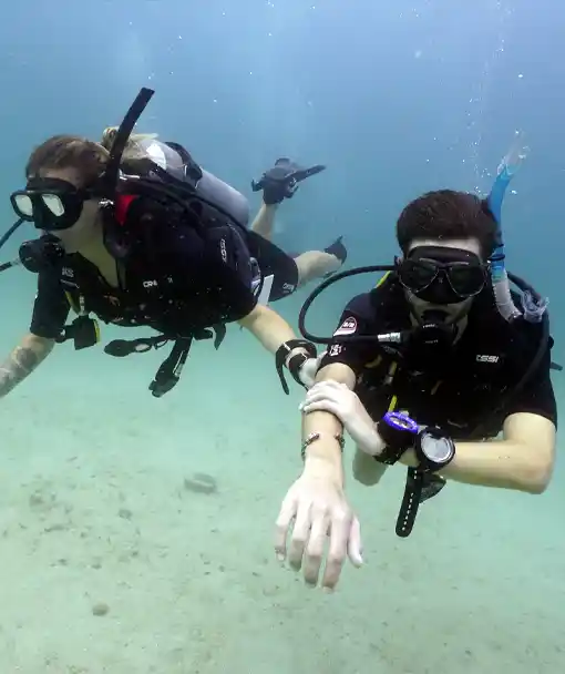 divers practicing compass skills in the underwater navigation specialty course Koh Tao