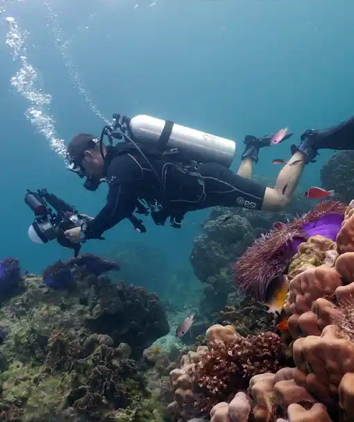 underwater photography specialty course diver filming reef marine life