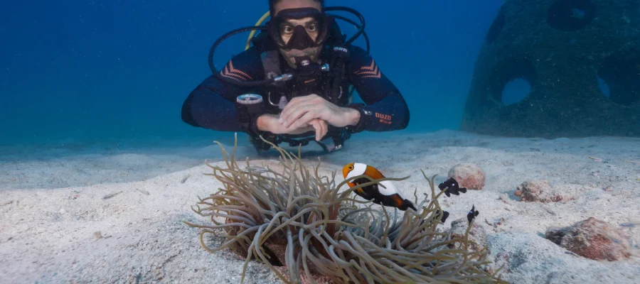 Diver with anemone fish (nemo) on Koh Tao Thailand