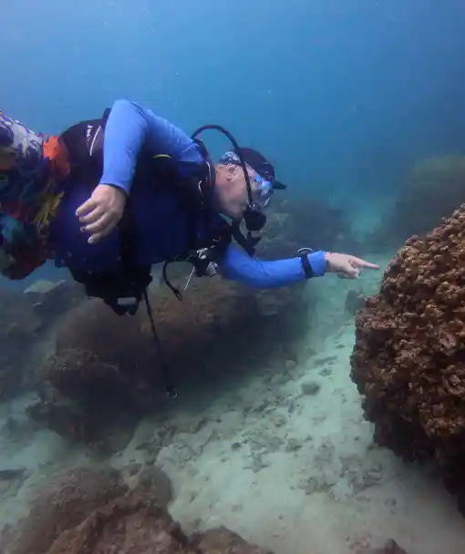 Diver pointing to hard coral on our Marine Ecology Dive Course