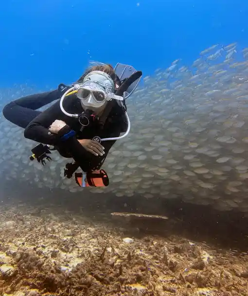 Diver on marine ecology course package thailand