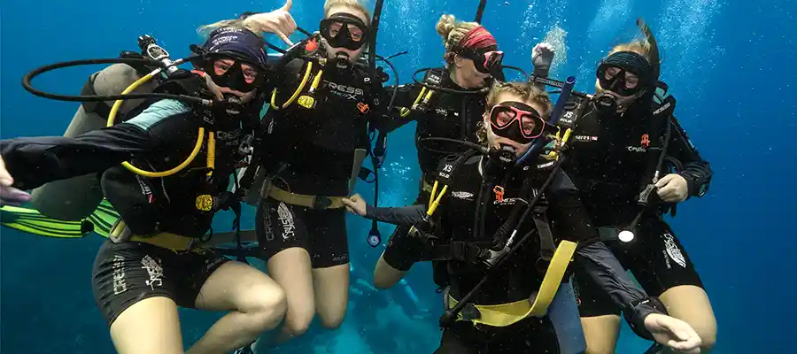 chronicles-best-time-to-dive-group-photo Two divers from Crystal Dive under a school of fusiliers on Koh Tao Thailand
