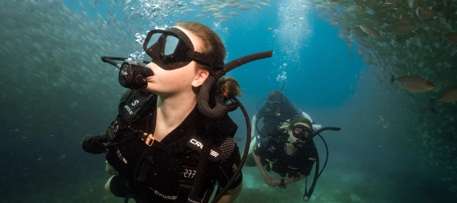 chronicles learn to scuba dive on koh tao three divers between fish Three divers swimming in file with fish surrounding them