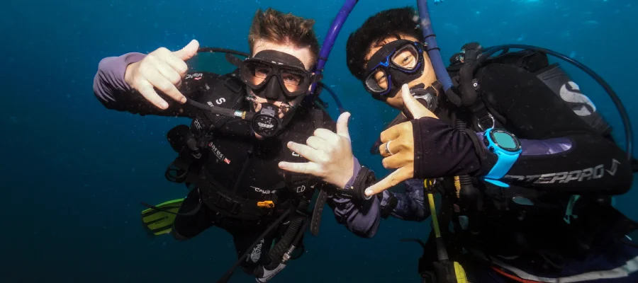 chronicles learn to scuba dive on koh tao two divers shaka Two divers from Crystal Dive under a school of fusiliers on Koh Tao Thailand