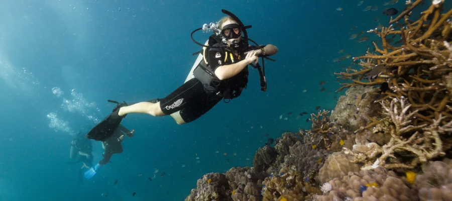 Diver looking at staghorn coral around Koh Tao