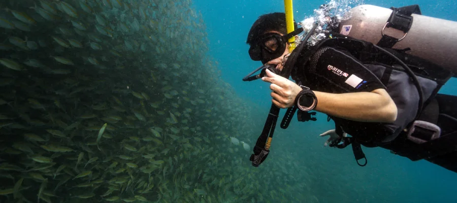 Diver showing Thai love sign to the camera while diving around Koh Tao