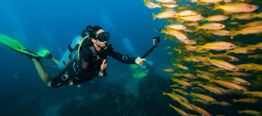 working as a divemaster taking video with a gopro of a school of fusilier fish