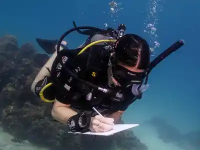 Marine Conservation Courses by The Coral Tribe