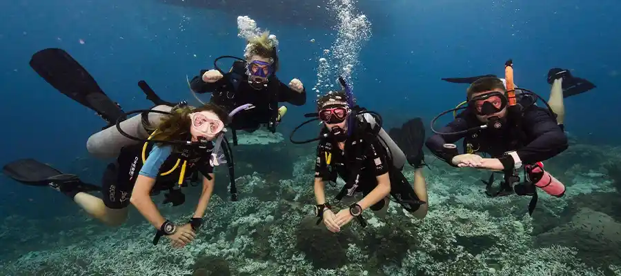 Group of divers hovering over the coral reef on Koh Tao