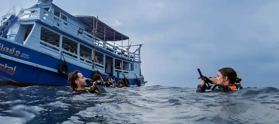 Divers on the ocean surface preparing to descend